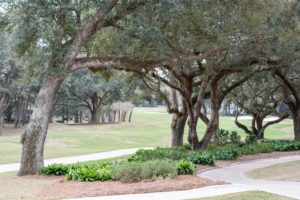Golf at Lakewood Country Club
