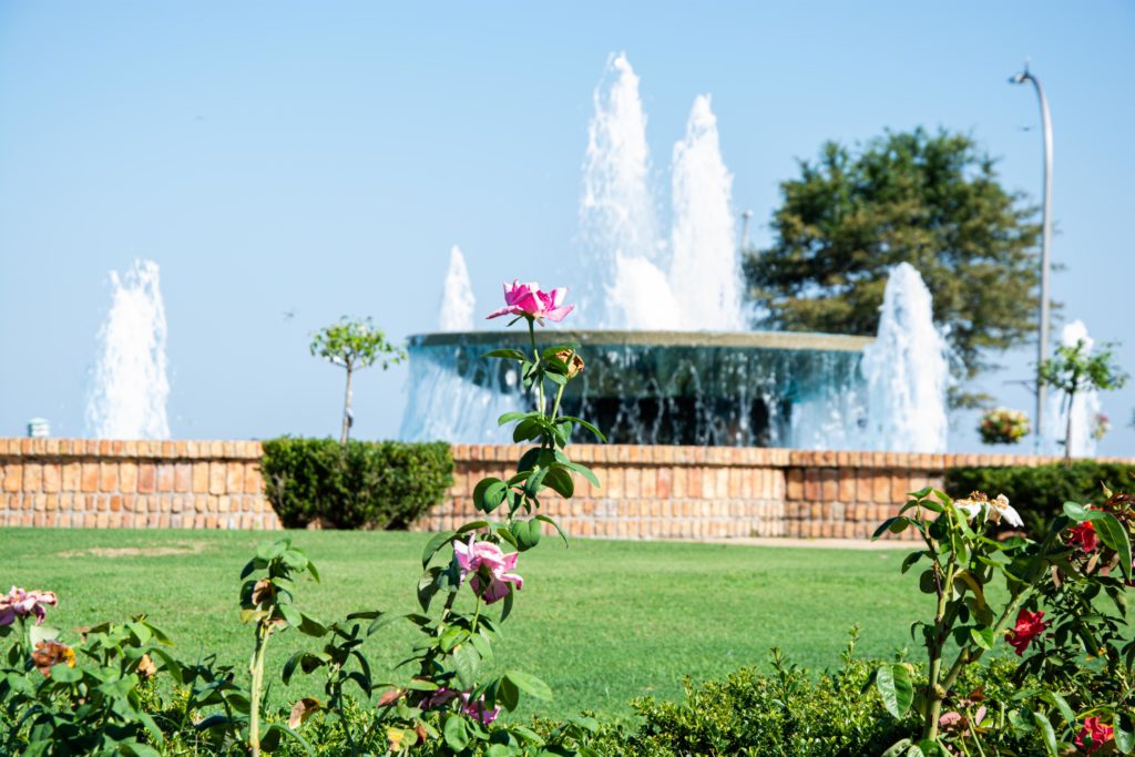 Fountain and Rose Garden in Fairhope