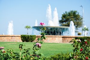 Fountain and Rose Garden in Fairhope