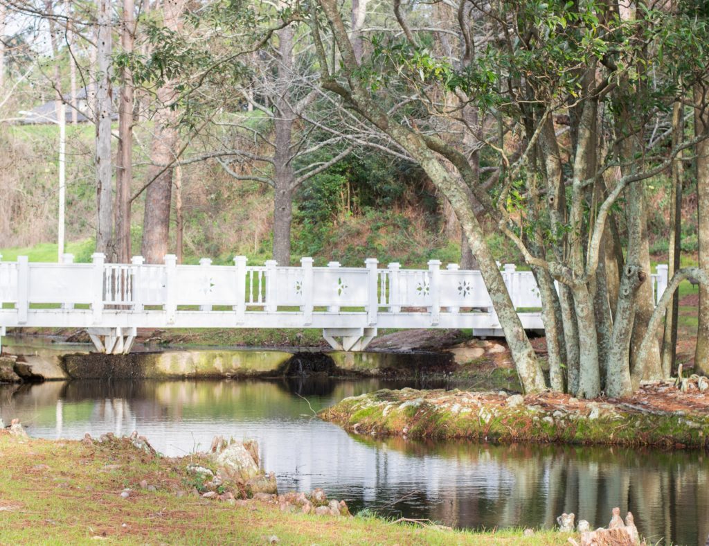 Bridge
