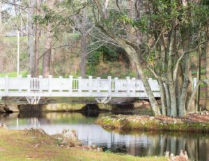 Bridge