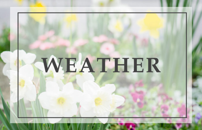 Weather in Fairhope