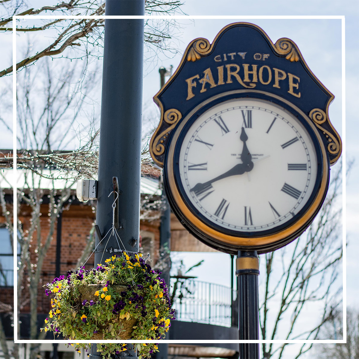 Fairhope Travel Guide | Visit Fairhope, Alabama | Fairhopers