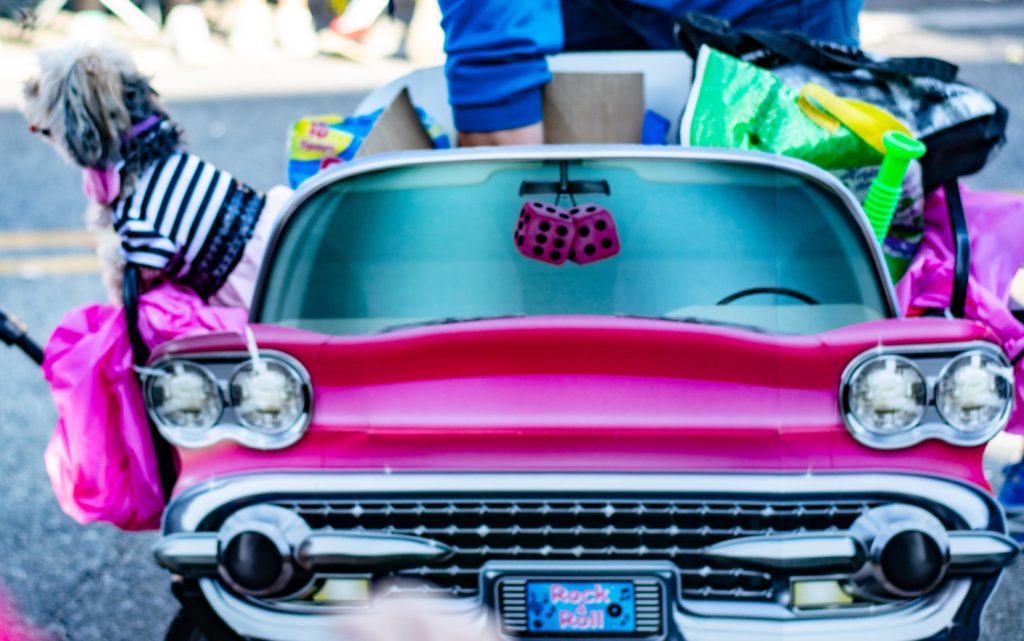 Mystic Mutts Parade