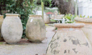 outdoor olive jars