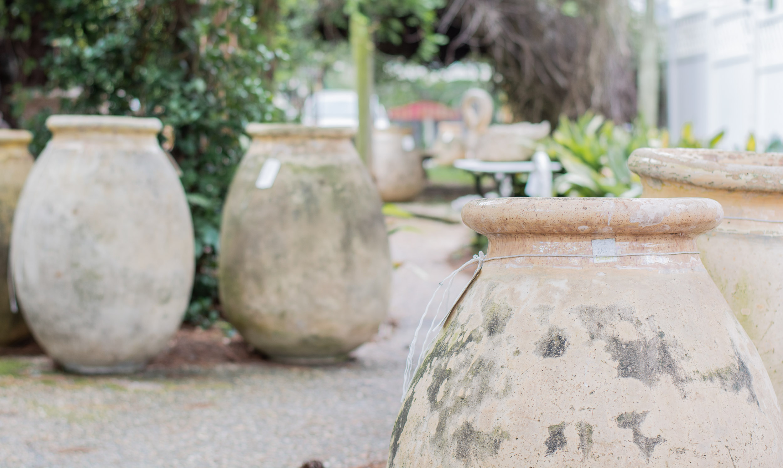 outdoor olive jars