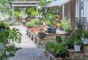 Fairhope Garden Center