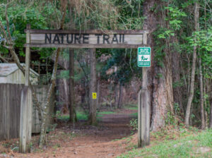 Nature Trail at Weeks Bay