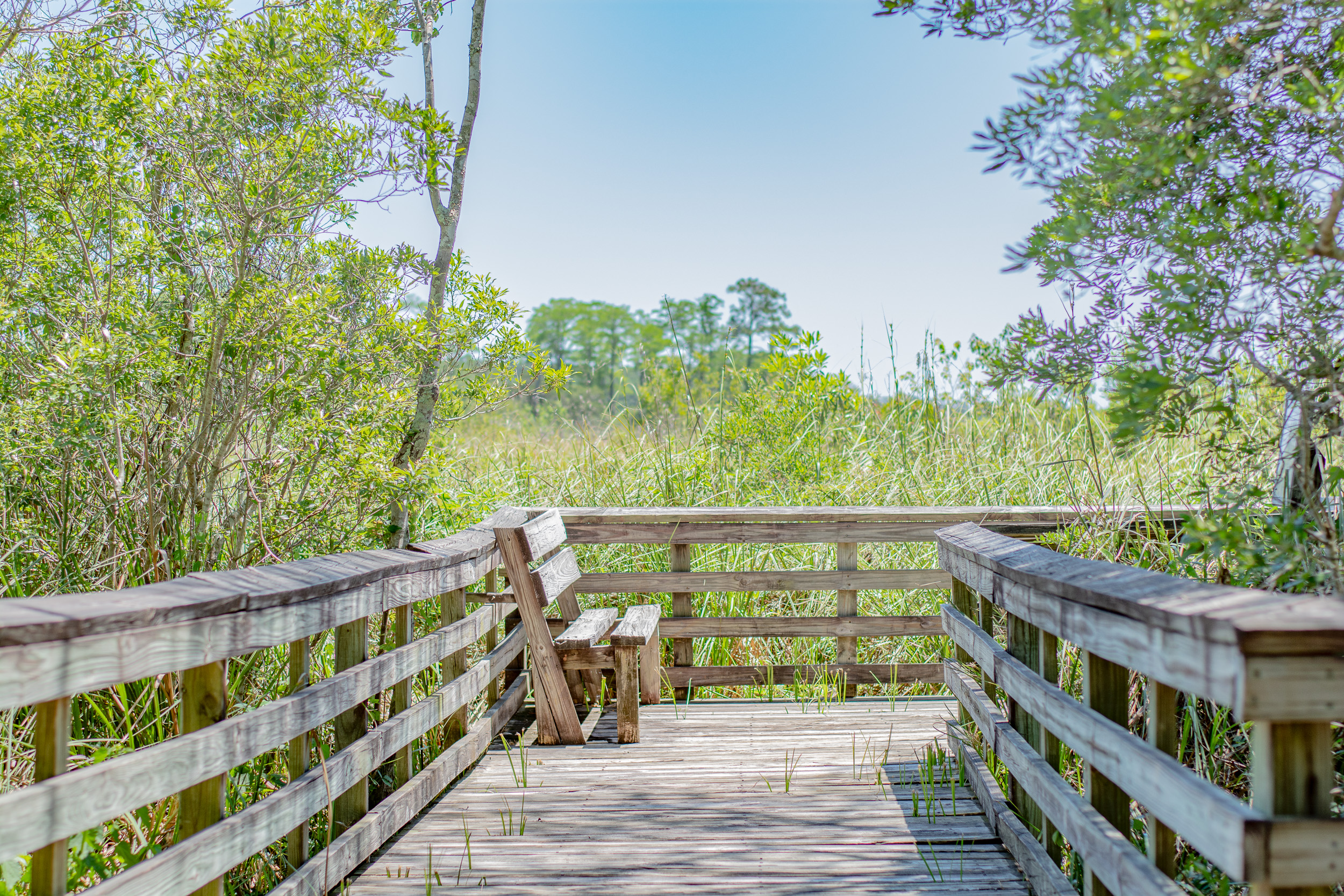 Picnic Bench on Boardwalk