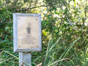 Sawgrass Information