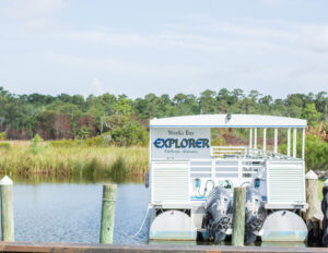 Weeks Bay Explorer Boat