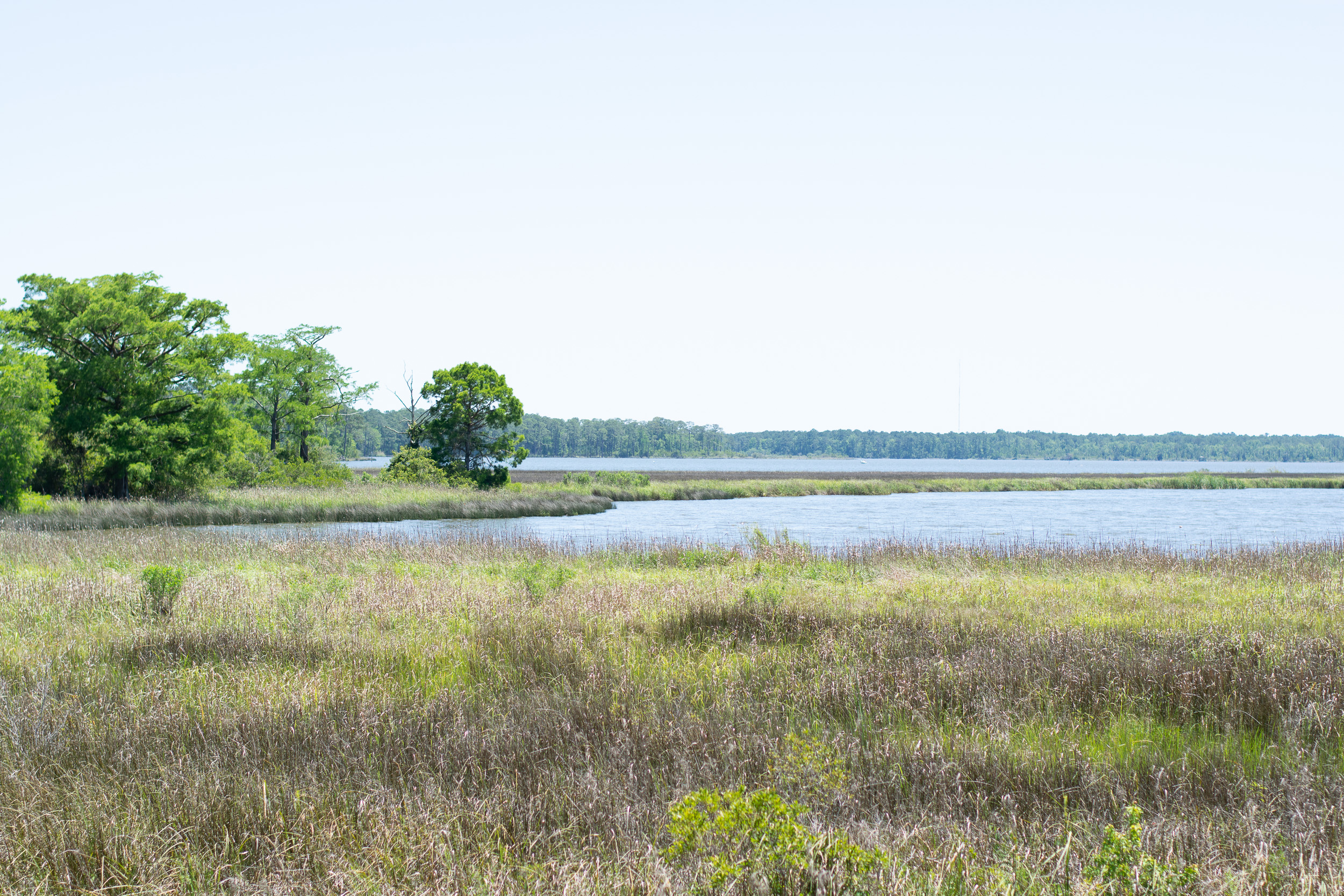 Weeks Bay Reserve Fairhope