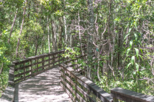 Boardwalk at Weeks Bay