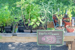 Fairhope Farmers Market