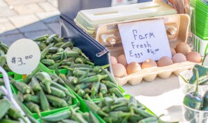 Farmer's Market Fairhope AL