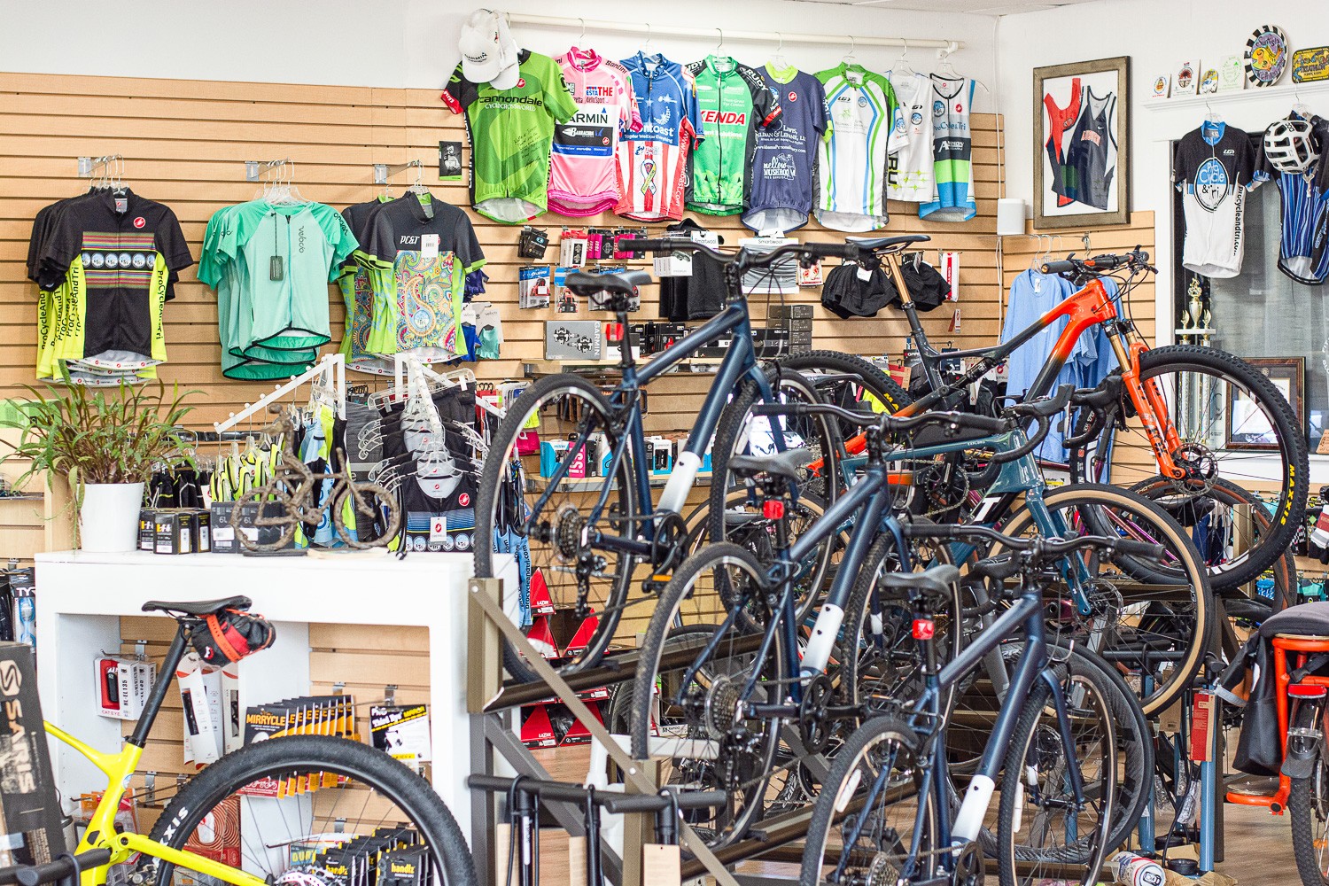 Pro Cycle and Tri Fairhope