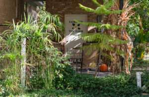Fairhope Tea Farm