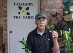 Fairhope Tea Farm