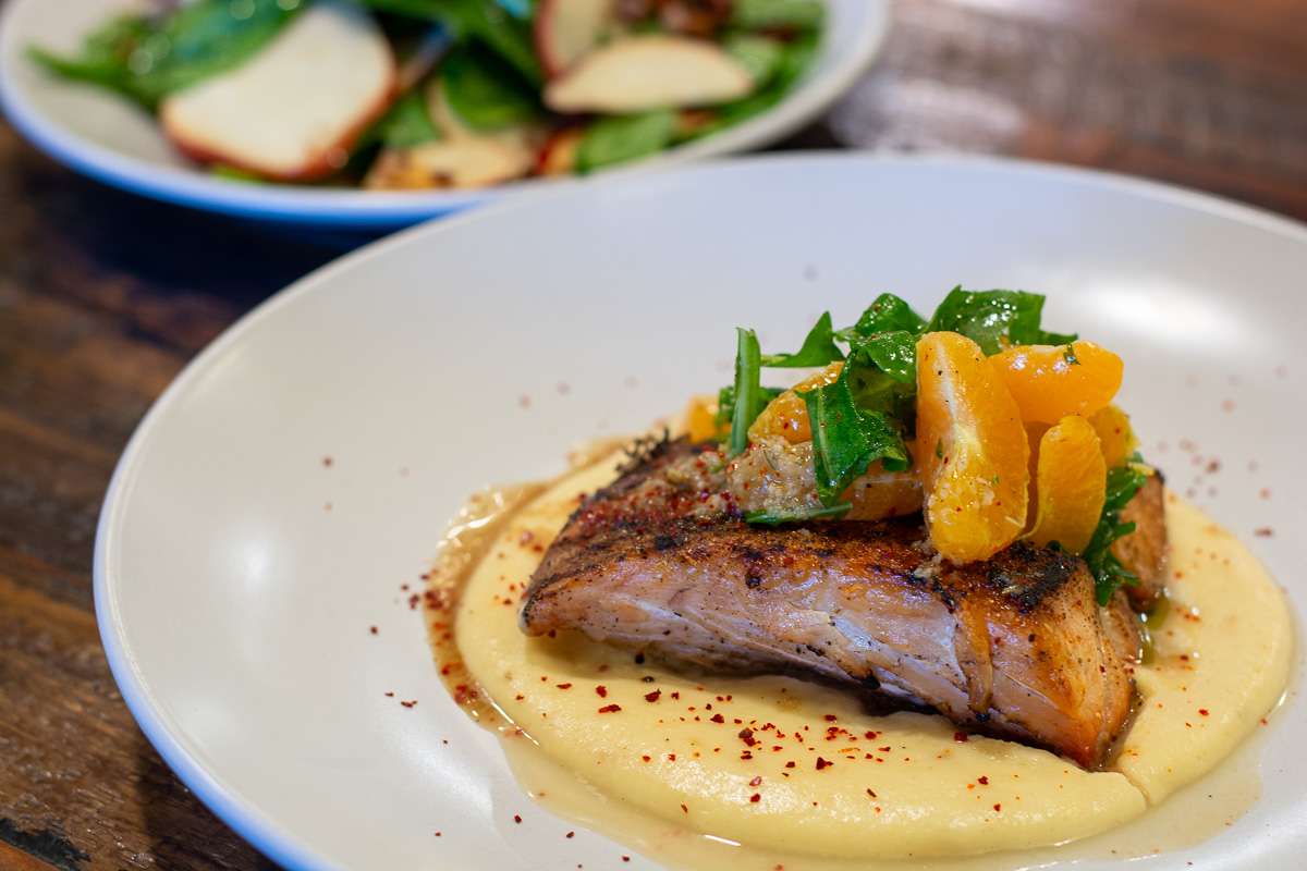 Grilled amberjack and parsnip puree