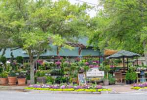 The Plant Shoppe Fairhope