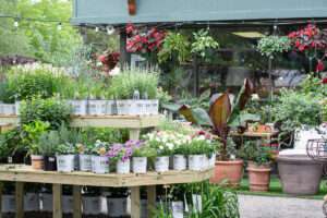 plant shop in Fairhope, Alabama