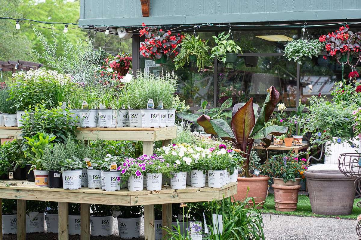 plant shop in Fairhope, Alabama