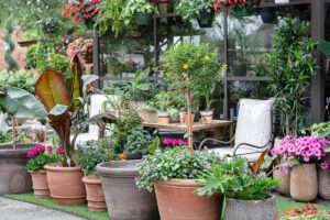 The Plant Shoppe Fairhope