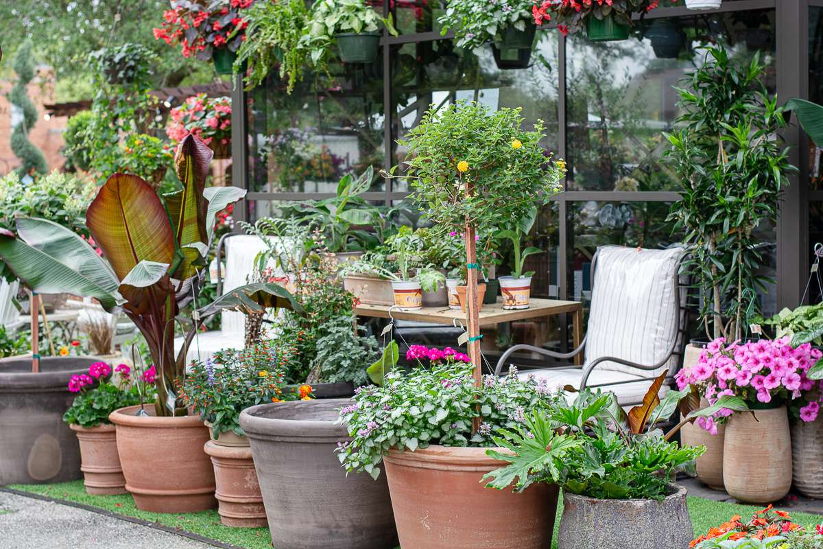 The Plant Shoppe Fairhope