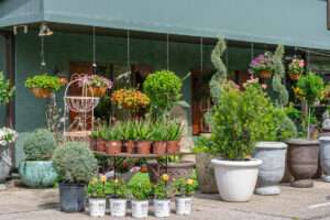 The Plant Shoppe Fairhope