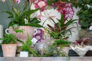 The Plant Shoppe Fairhope