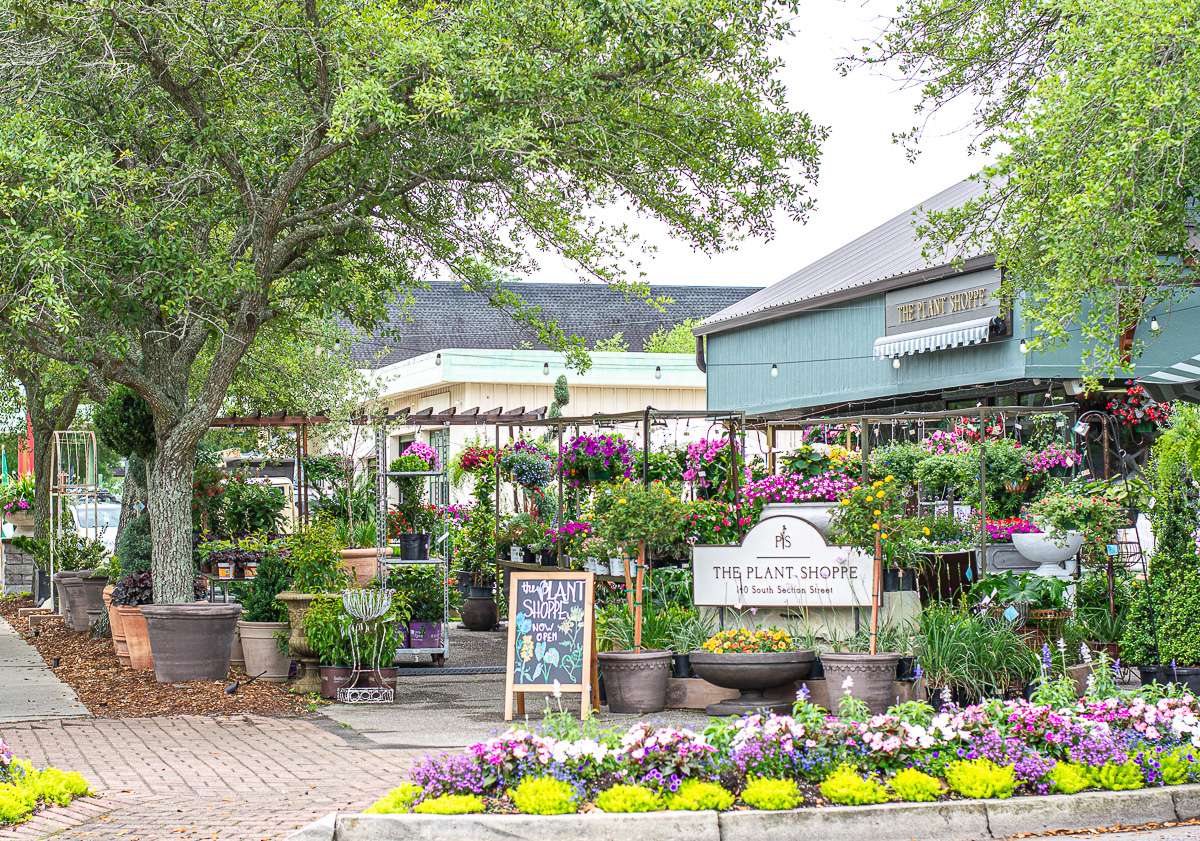 The Plant Shoppe | Fairhope, AL | Fairhope Travel Guide