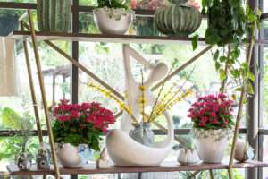 plant gift ideas
