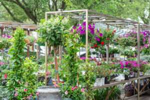 The Plant Shoppe Fairhope