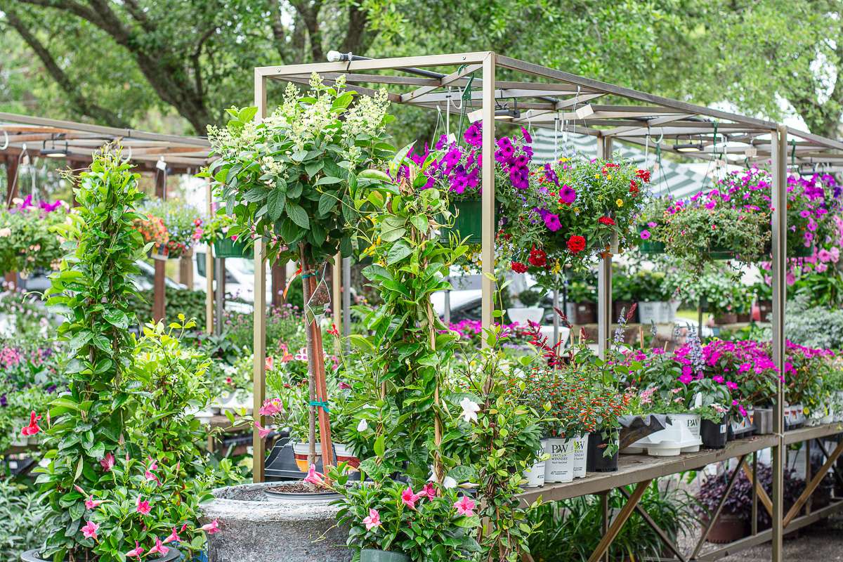The Plant Shoppe Fairhope