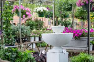 The Plant Shoppe Fairhope Alabama
