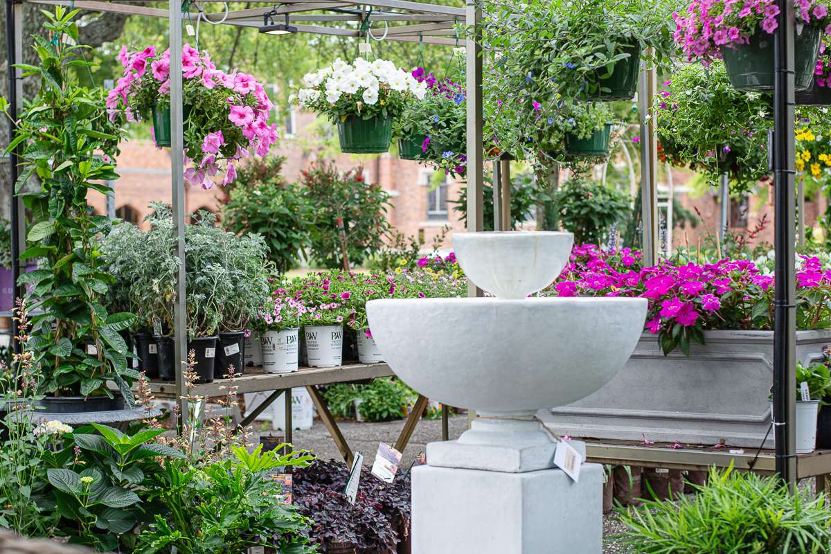 The Plant Shoppe Fairhope Alabama