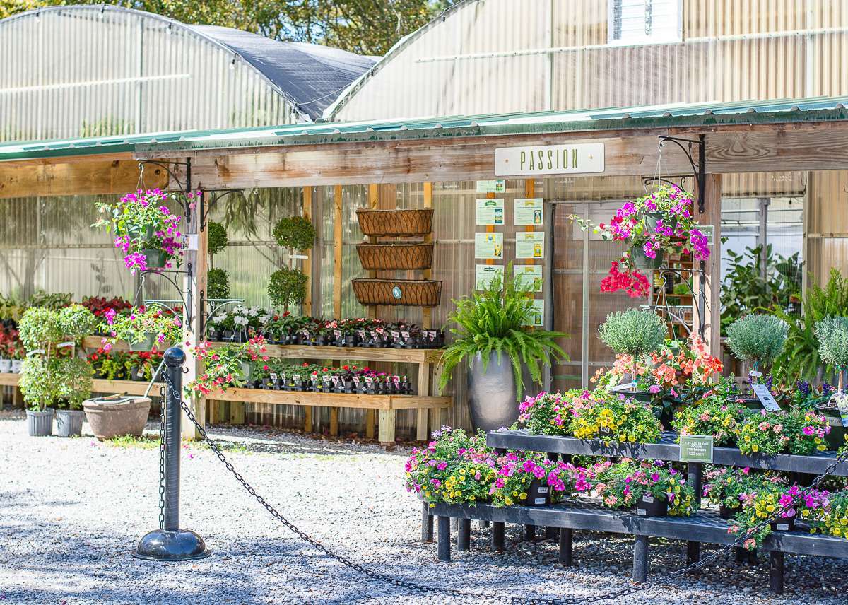 Corner Copia Gardens Fairhope
