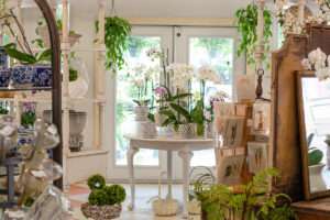 plant gift shop Fairhope