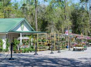 Corner Copia Gardens Fairhope