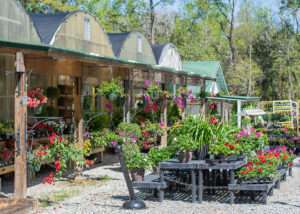 Corner Copia Gardens Fairhope