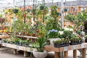Gardening Store Fairhope
