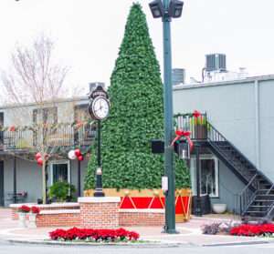 Christmas in Fairhope, Alabama